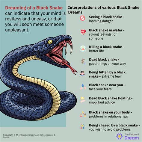 What Does It Mean When You Dream About Black Snakes and .